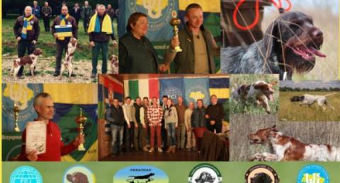 International Field Trials — нам есть чем гордиться!