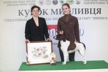 Выставка собак Кубок Охотника -2021 Наши чемпионы...