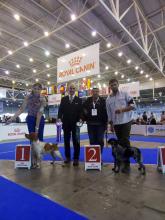 FCI-CACIB "UKRAINE-2017"